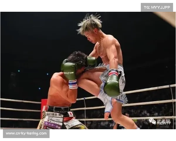 从踢拳神童到拳击世界战:那须川天心的转型如何重构搏击市场价值